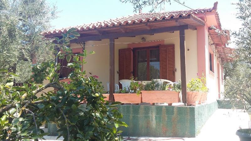 Porto Giardino Apartments Psarou (Zakynthos) Exterior foto
